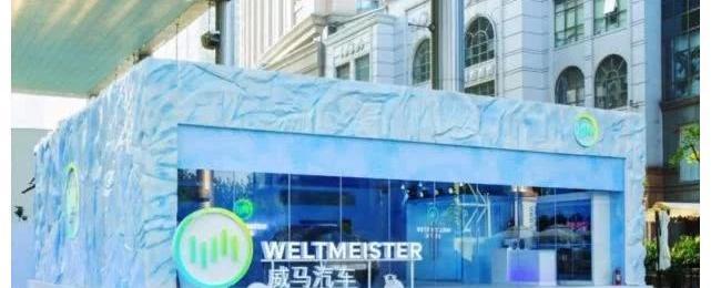 理念,威馬汽車,合創,特斯拉,蔚來