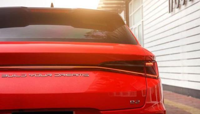 BYD, BYD e2, Man, Tesla