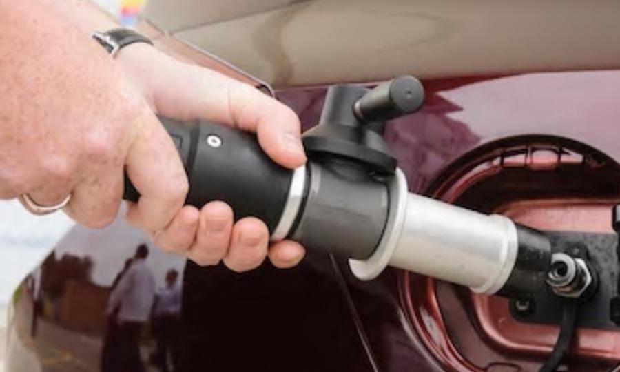 Audi, Honda, BMW, Volkswagen, Toyota