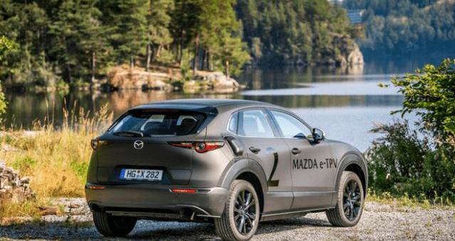 Tucki, Tesla, Maserati, Tucki P7, FAW