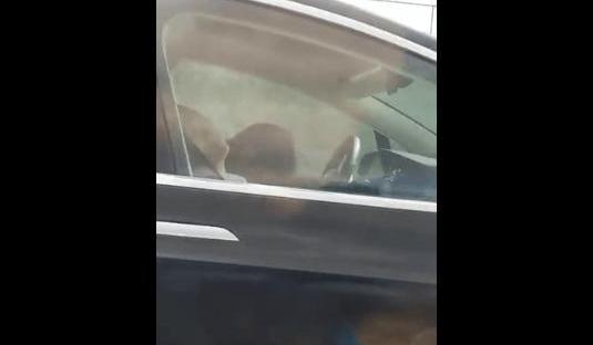 Tesla, discovery, model s