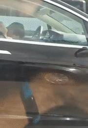 Tesla, discovery, model s