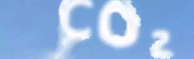 Corolla, Beijing, Toyota, Hyundai, discovered