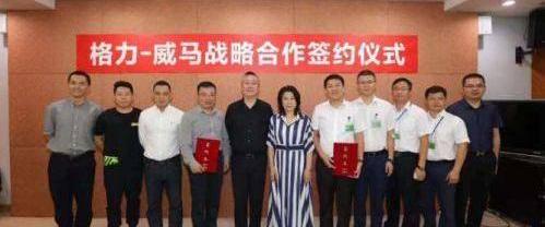 Weilai, Weimar, Zero Run, Hengchi, Koenigsegg