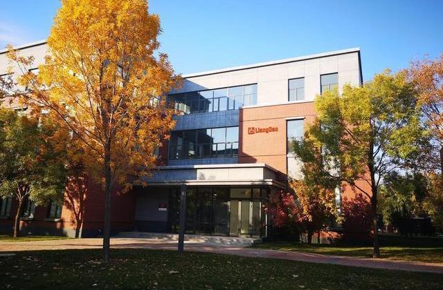 Great Wall, Audi, Audi A8, BMW