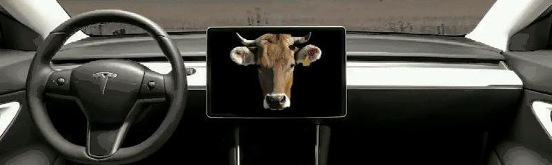 Tesla, Model 3, Model X, Model S, Concept