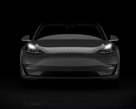 Weilai, Tucki, Tesla, Weimar Automobile, Future