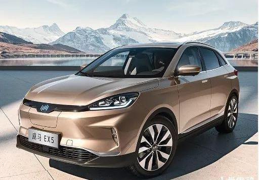 Weilai, Tucki, Tesla, Weimar Automobile, Future