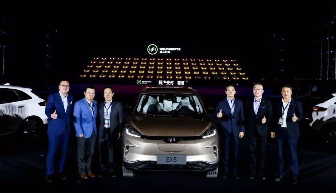 蔚來,小鵬,特斯拉,威馬汽車,愛馳