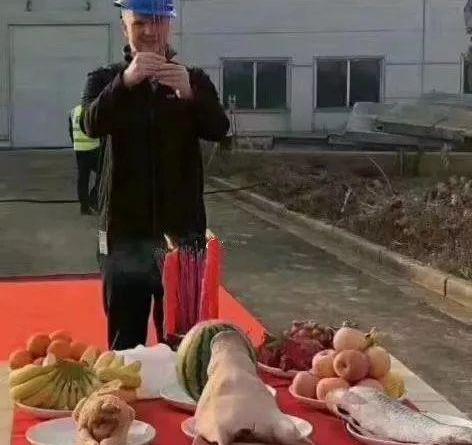 Santana, Tesla, Volkswagen, Toyota, Discovery