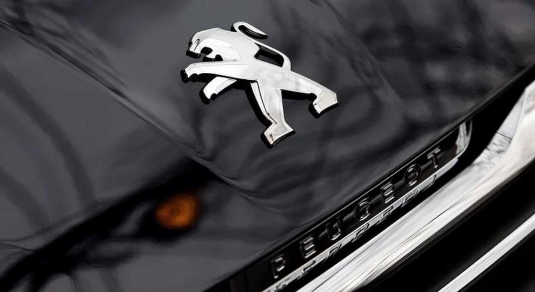 Peugeot, Citroen, DS, Discovery