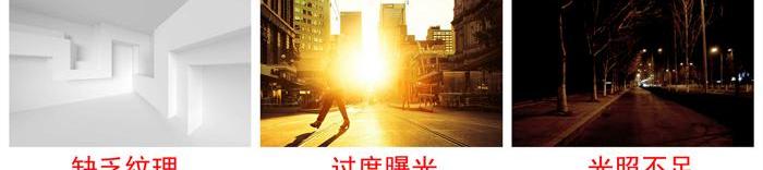 Mercedes-Benz, BMW, Audi, Volkswagen, Ford