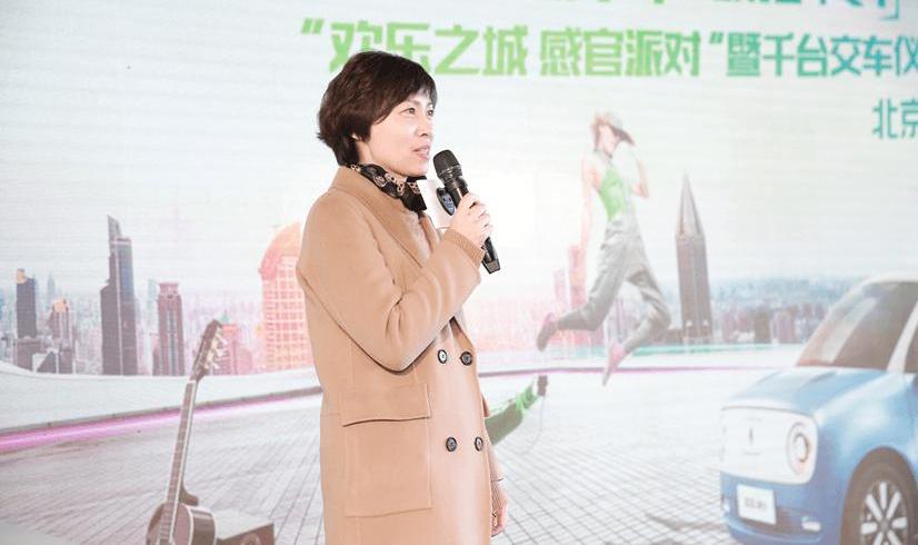 Euler, Beijing, Great Wall, concept, remote