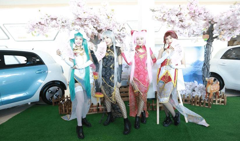 Euler, Beijing, Great Wall, concept, remote