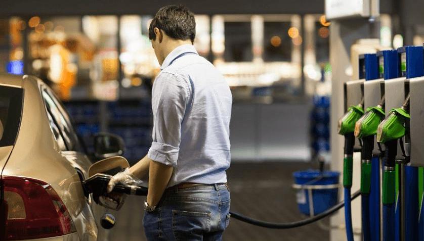 Toyota, BYD, BMW, Ford, Corolla