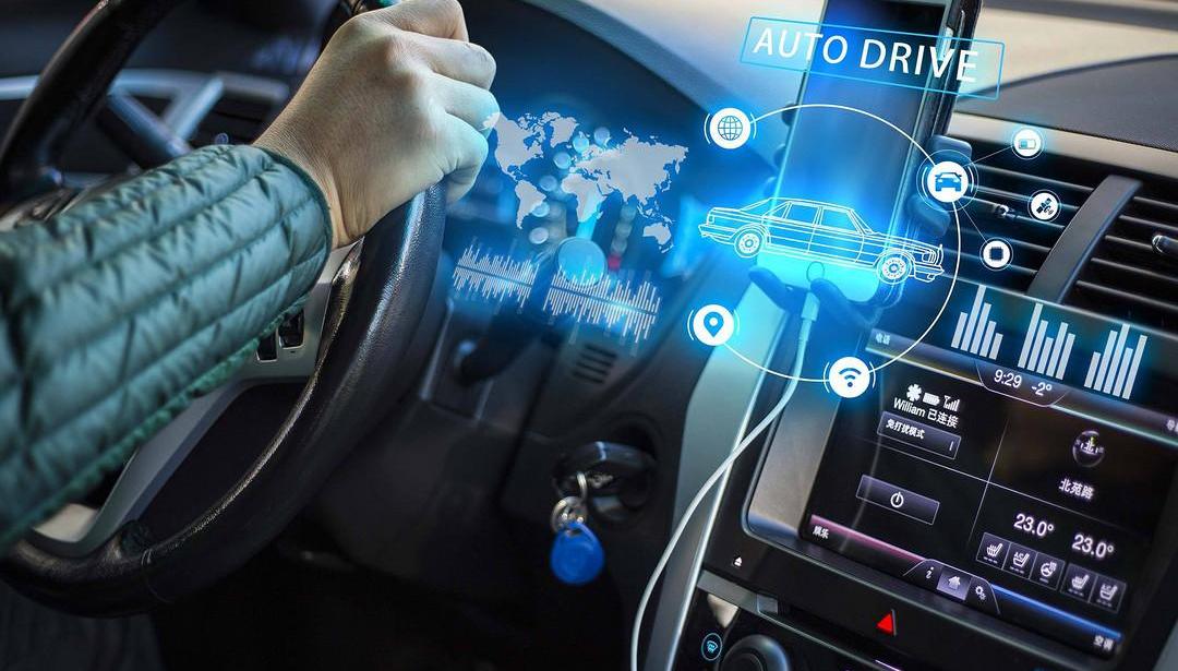 Toyota, Zebra, BYD, Weilai, Mercedes-Benz