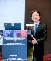 Han, Beijing, Geely Automobile, Chery, Chery New Energy