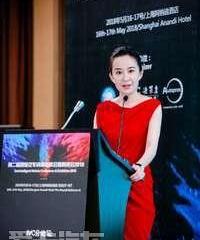 Han, Beijing, Geely Automobile, Chery, Chery New Energy