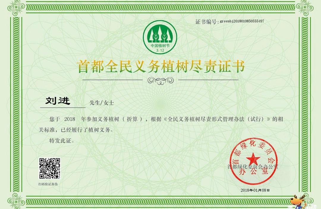 Beijing, Dongfeng, Honda, Volkswagen, Hyundai