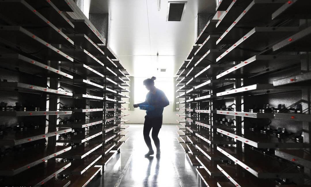 emgrand, Tesla, BYD, emgrand EV, BMW