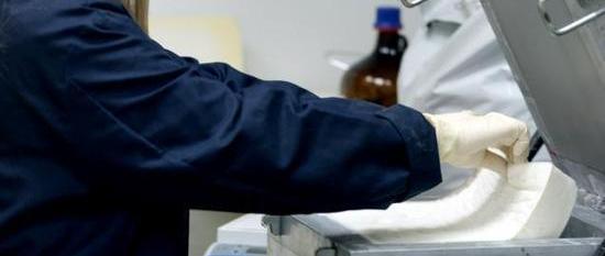 Audi, Mazda, BMW, Ford, Lamborghini