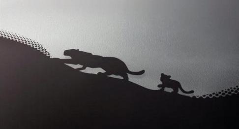 Audi, Mazda, BMW, Ford, Lamborghini