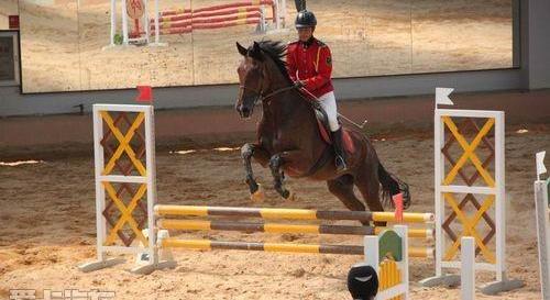 奧迪,奧迪A6,奧迪A6L,發現,現代