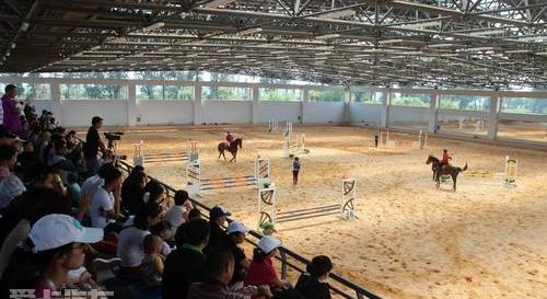 奧迪,奧迪A6,奧迪A6L,發現,現代