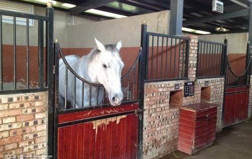 奧迪,奧迪A6,奧迪A6L,發現,現代