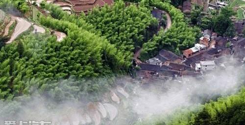 奧迪,奧迪A6L,奧迪A6,大眾,一汽