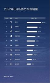 哪吒V,哪吒汽車,發現,衛士