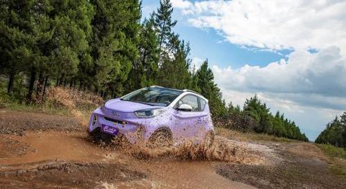 小螞蟻,奇瑞,遠程