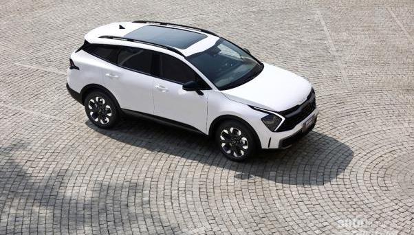 獅鉑拓界,起亞,現代