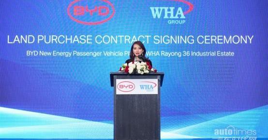 比亞迪,大眾,東南,曼