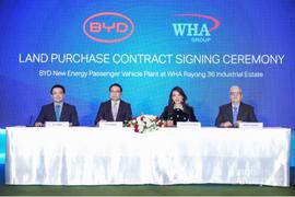 比亞迪,大眾,東南,曼