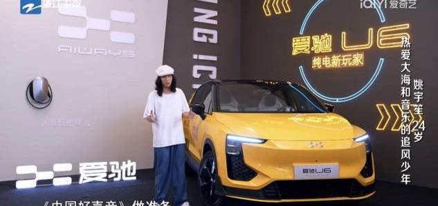 愛馳,愛馳U6,小鵬,特斯拉,Model Y