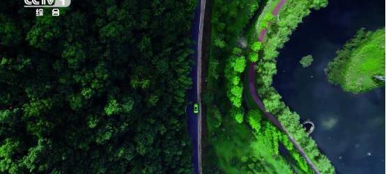 哈弗,哈弗酷狗,長城,奔馳,飛馳