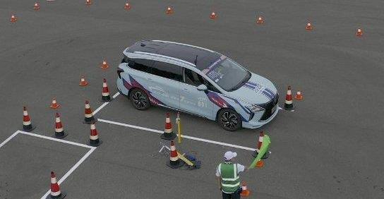 風行游艇,東風風行,東風,海豚