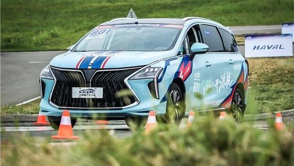 風行游艇,東風風行,東風,海豚