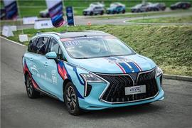 風行游艇,東風風行,東風,海豚