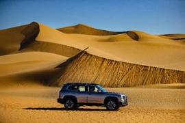 哈弗,哈弗大狗,長安,長安CS75,漢