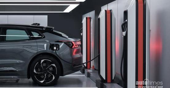 極氪,理念,衛士