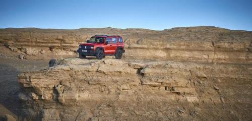 坦克,坦克500,坦克300,漢