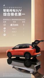 威馬W6,大眾,特斯拉,Model Y,蔚來