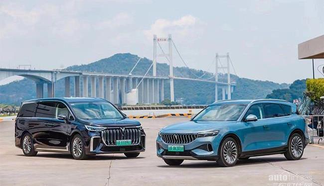 嵐圖汽車,北京,漢,理念,現代