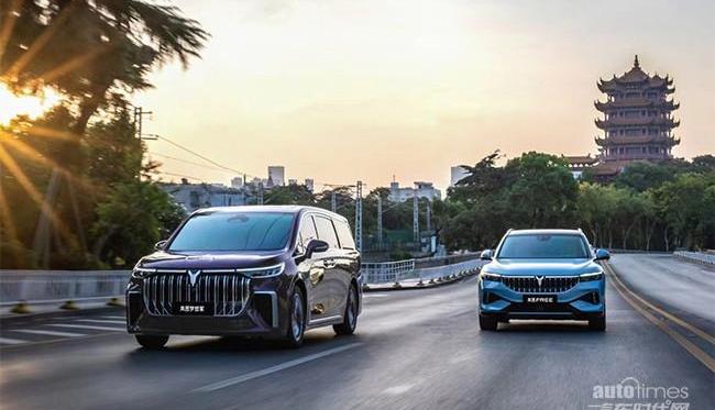 嵐圖汽車,北京,漢,理念,現代