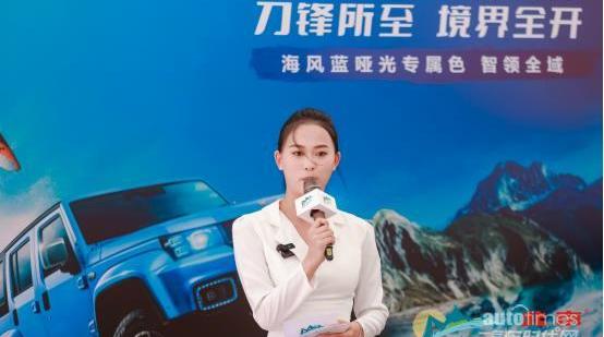 北京,漢,炮,仰望,遠程