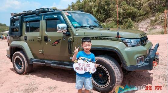 北京,漢,炮,仰望,遠程