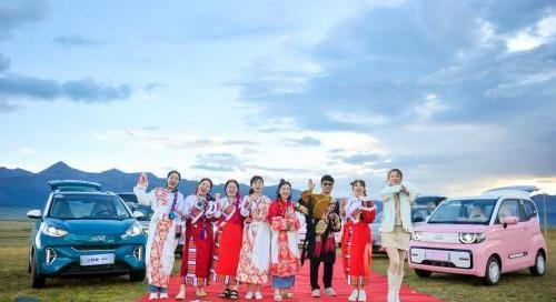 奇瑞,無界Pro,QQ冰淇淋,小螞蟻,DS