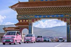 奇瑞,無界Pro,QQ冰淇淋,小螞蟻,DS